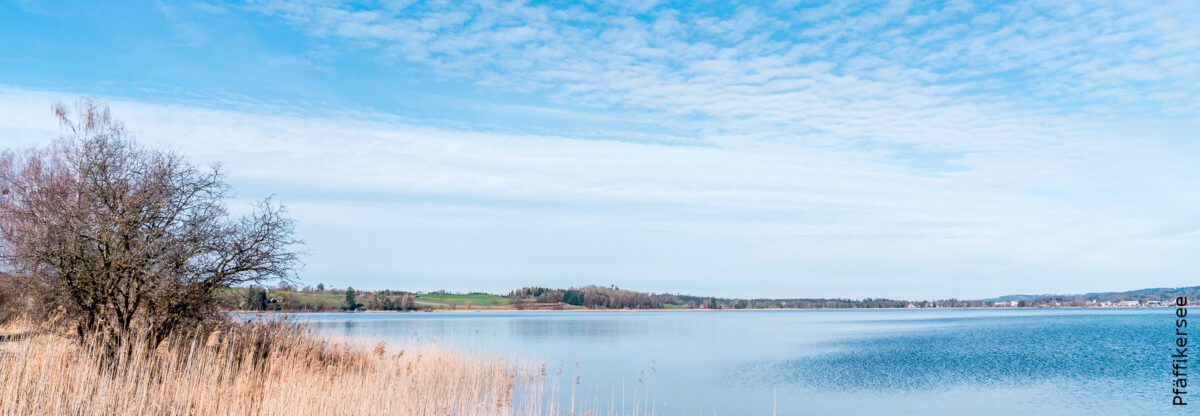 Pfäffikersee