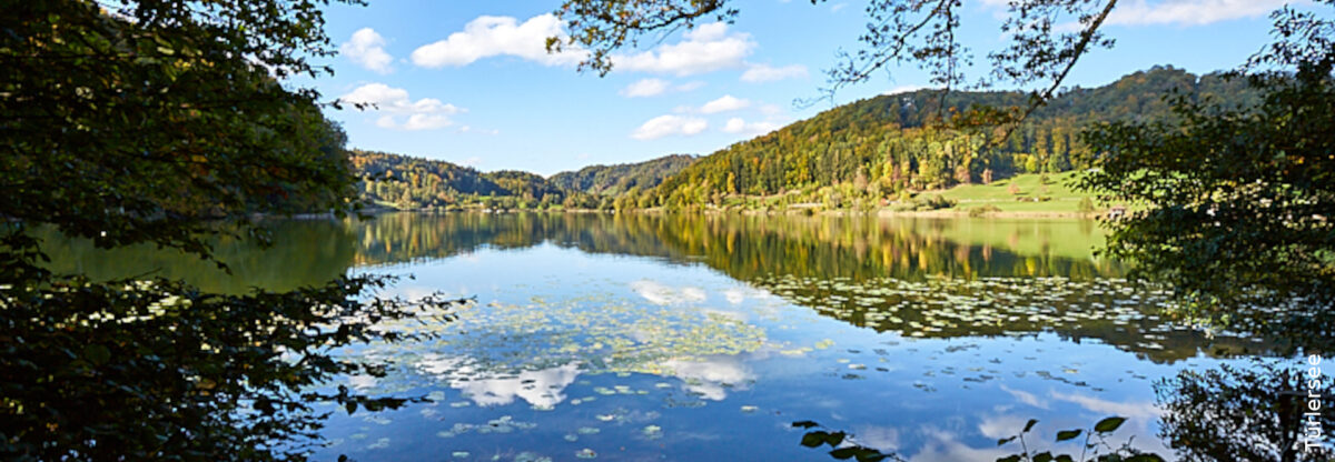 Türlersee